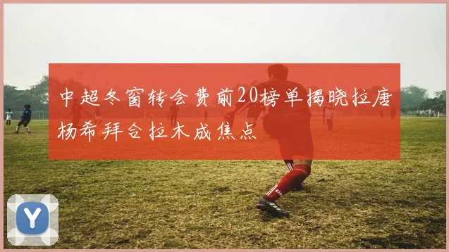 中超冬窗转会费前20榜单揭晓拉唐杨希拜合拉木成焦点