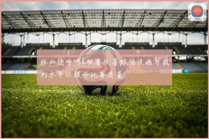 林加德呼吁K联赛改善球场设施与裁判水平以提升比赛质量